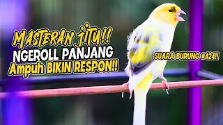 Download lagu SUARA BURUNG |424| Kenari GACOR PANJANG INI Cocok untuk Masteran KENARI PAUD dan Kenari Macet BUNYI mp3