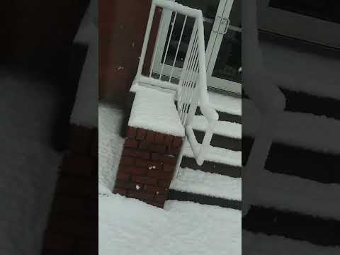 At 9am on 01/16/2022. Went for a Walk To See The Snow. Waynesboro TN