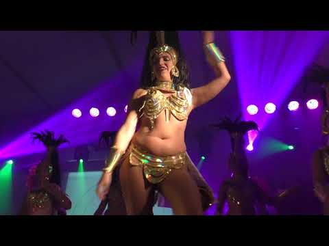 Sócios da Mangueira -  Beija Flor 2001 @Festival de Samba de Estarreja 2017