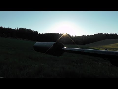 Jagd im Juni 2017 - Roebuck Hunting in June 2017