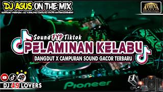 Download lagu DJ AGUS TERBARU GOYANG DUMANG X PELAMINAN BIRU DANGDUT X CAMPURAN SOUND FYP TIKTOK mp3