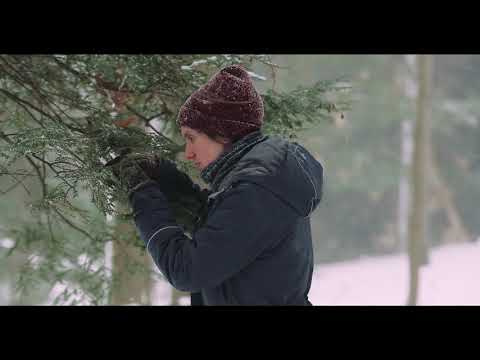 E2: The Hemlock Woolly Adelgid