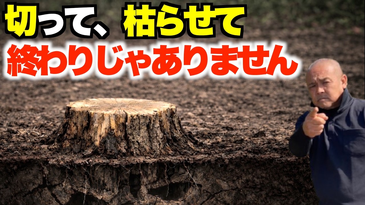 枯らした後、放置厳禁です