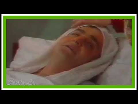 Humor Fierak     Luftar Paja