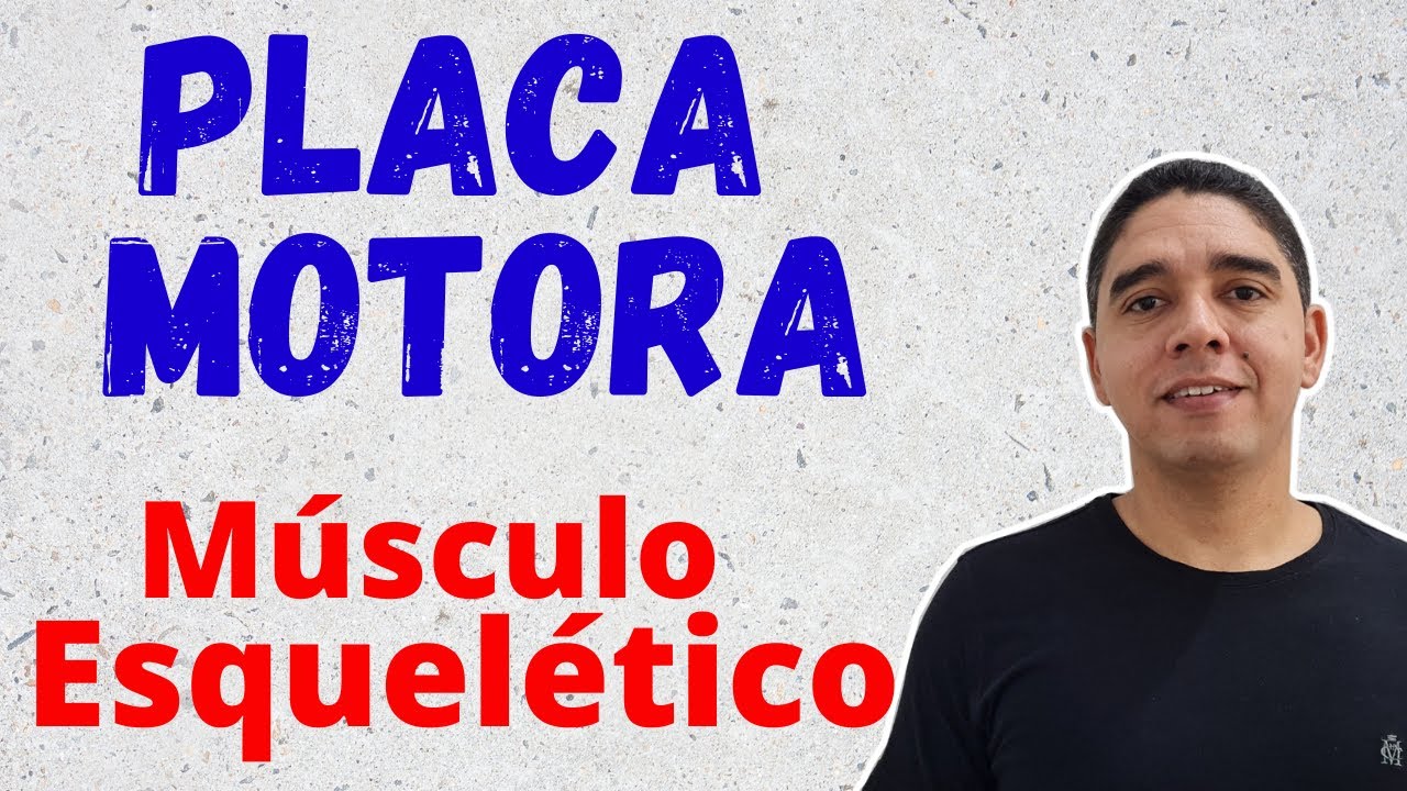 Placa Motora e Estimulação Nervosa na Contração Muscular [Músculo Esquelético]