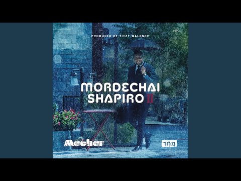 Mi Adir (feat. Yitzy Waldner) (Instrumental)