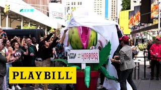 Andrew Barth Feldman, Sarah Hyland, and More Celebrate the 5th Anniversary of Little Shop of Horrors