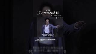 Download lagu 歌劇 フィガロの結婚 mp3