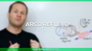 Arco reflexo