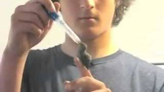 Rescueing a humming bird