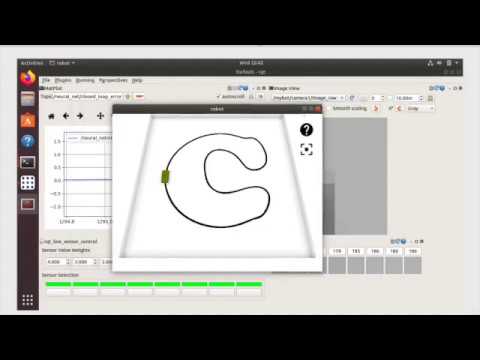 Line Following Robot in Enki Simulator with a CLBP Neural Network