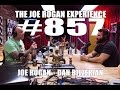 Joe Rogan Experience 857 Dan Bilzerian