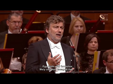 Jonas Kaufmann ✬ "Morgenlich leuchtend"/Walther's Prize Song