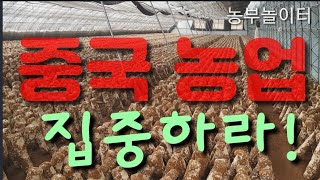 거대 공룡의 중국농장  Scale of farms not to follow China unconditiona…