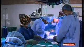 Tanya O'Rourke's kidney donation.