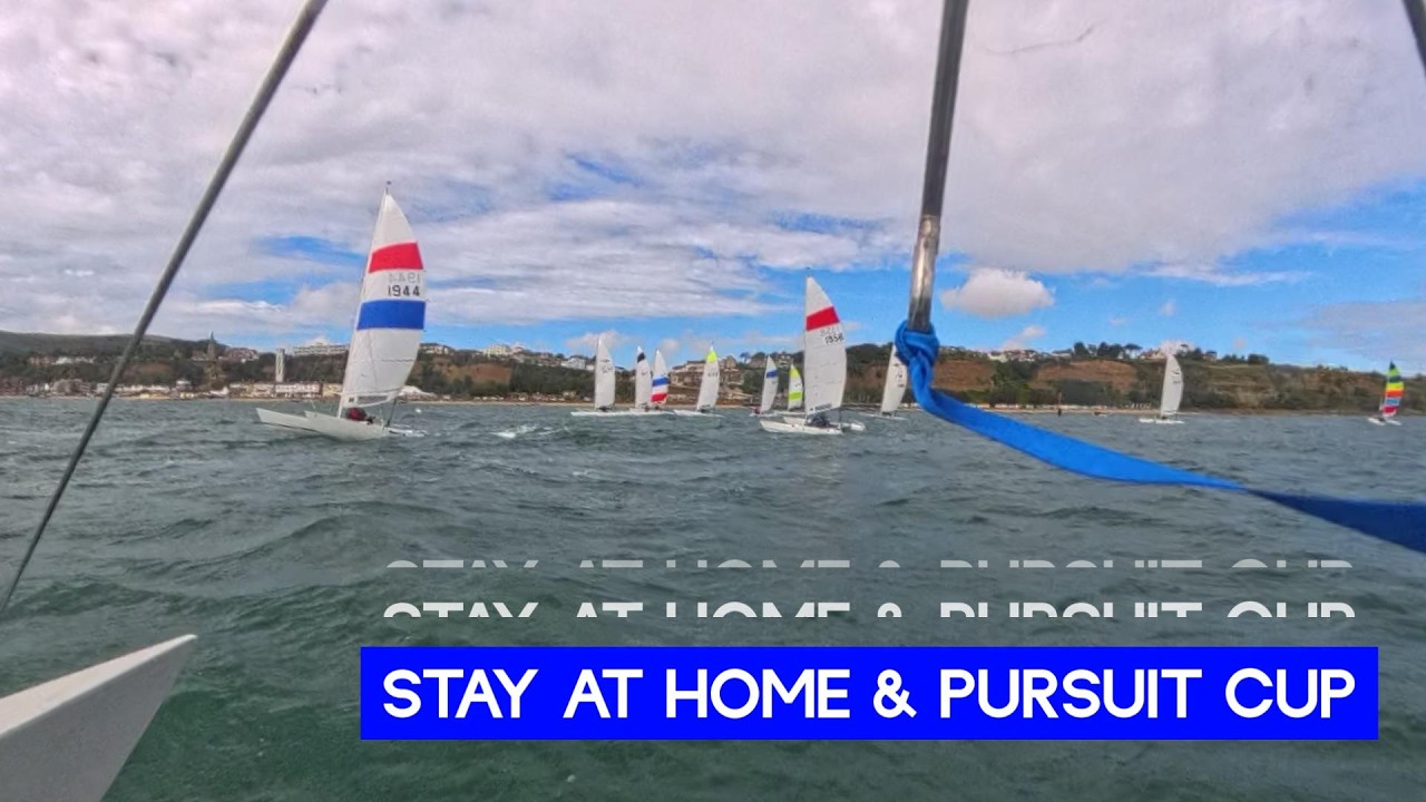 Stay at Home Cup