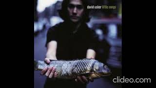 David Usher - Forest Fire
