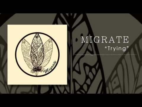 MIGRATE - Trying