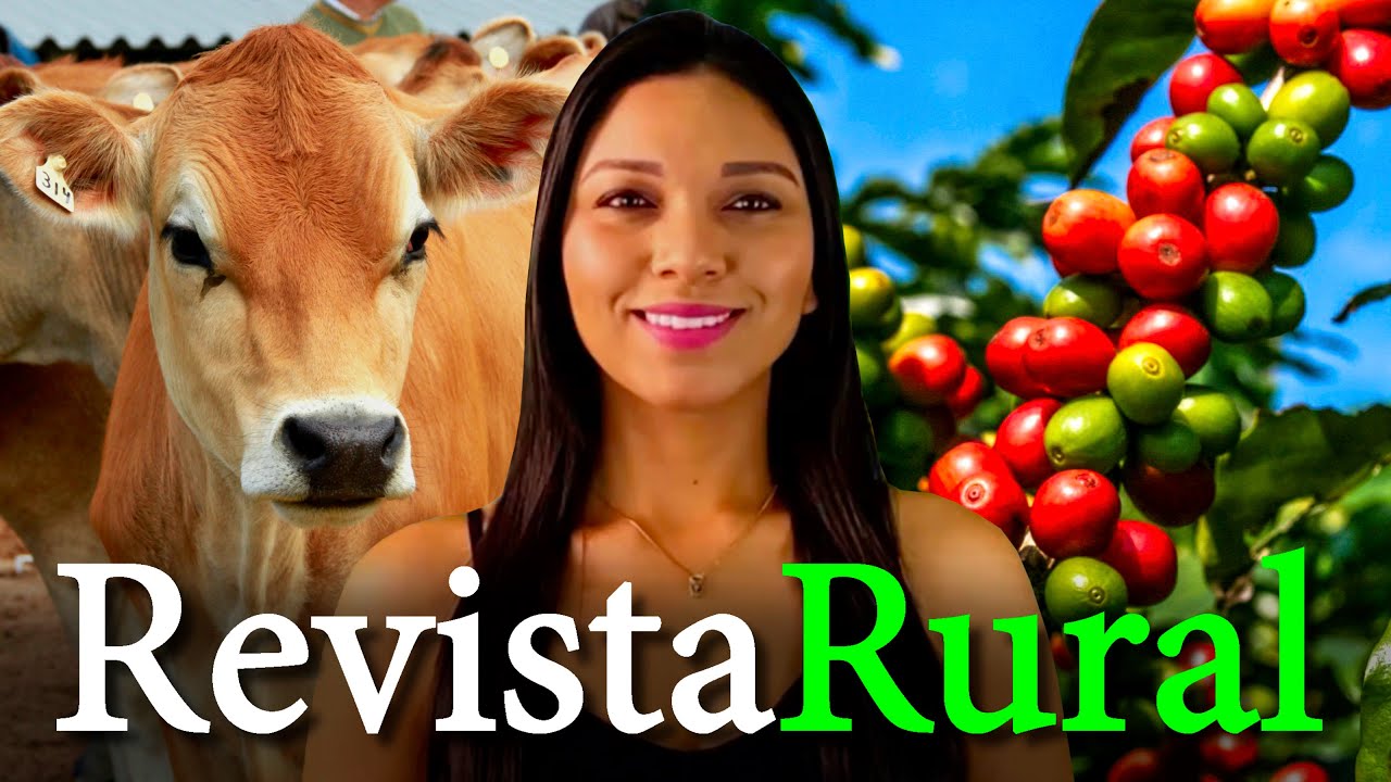 PROGRAMA REVISTA RURAL - 28/07/2024