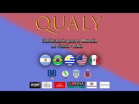 Torneo Qualy ciudad de Leones