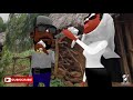 Comedian Thomas Funny Ethiopian Animation Comedy By Ethio Panda