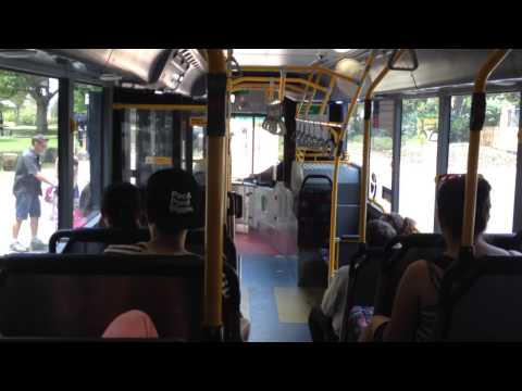 Transperth Yellow CAT - TP2245 Volvo B5RLEH Hybrid (I-Shift)