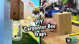 How To Make A Simple Carpenter Bee Trap | Dad Deals