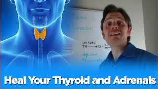 Heal Your Thyroid and Adrenals - The Adrenal Thyroid Connection