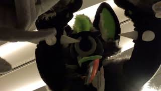 Megaplex 2026 UltraStep Compilation (combination of macro micro panel and paw panel)