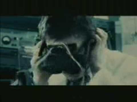 Alpine Stars ft. Brian Molko - Carbon Kid - Music Video