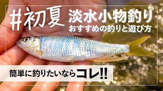 【淡水小物釣り】身近でお手軽、簡単！初夏をのべ竿&ガサガサで遊び尽くす /水野浩聡/石川文菜