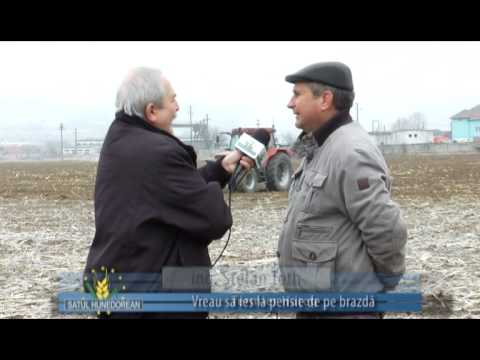 satul hunedorean 30 noiembrie 2014