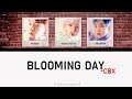 CBX - Blooming Day (Türkçe Altyazılı) [HAN/ROM/TR]