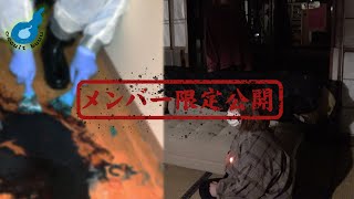 ���С������ư����������������ʪ���̱�ȤǥХ������ֽФƤޤ���