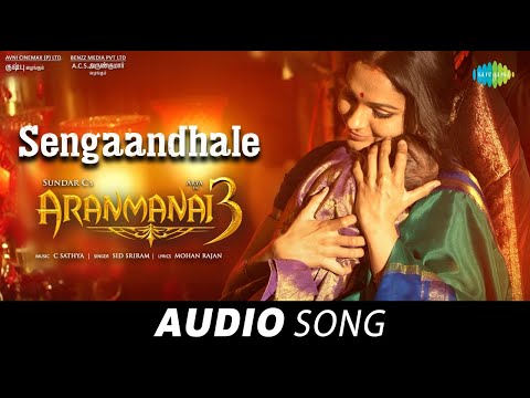 Sengaandhale - Audio Song | Aranmanai 3 | Arya, Raashi Khanna, Andrea | Sundar C | C Sathya