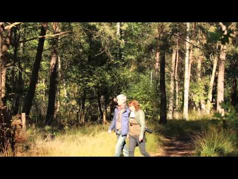 Wandelen in Overijssel