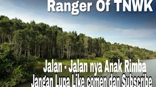 preview picture of video 'Taman Nasional Way Kambas Lampung Patroli pengamanan TNWK'