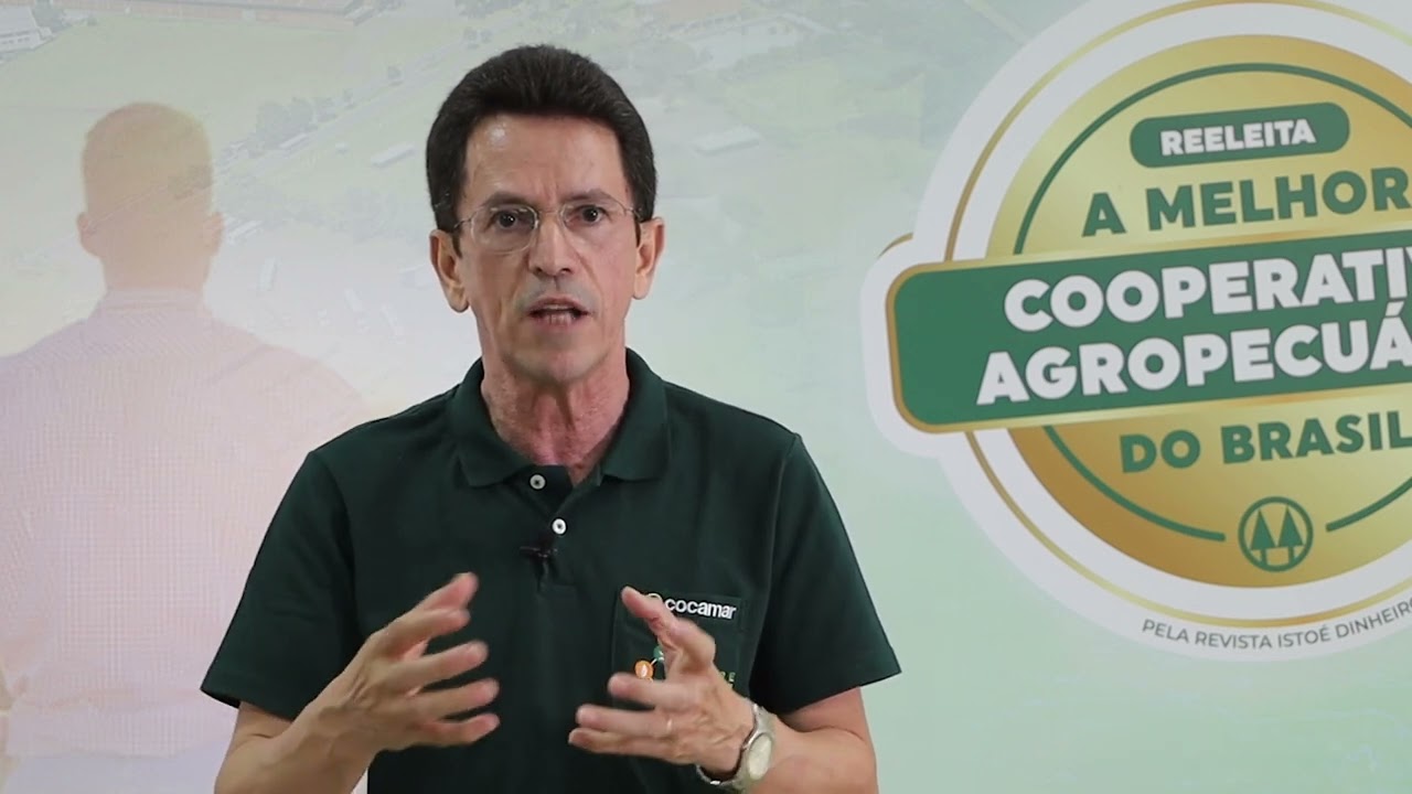 Relatório USDA | Janeiro 2025