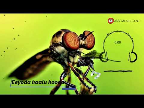 Eedaa Eedaa Song Lyric Whatsapp Status | AKV Music Centre