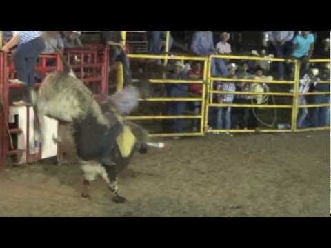 el corrido de rancho el trebol 3 la furia del bravo