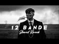 12 Bande (slowed reverb) | Varinder Brar | PERFECTLY SLOWED