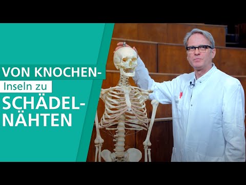 Kloß im Hals, weil der Osteochondrose Schmerzen in der rechten Seite und im Unterleib auf dem rechten Flügel ist