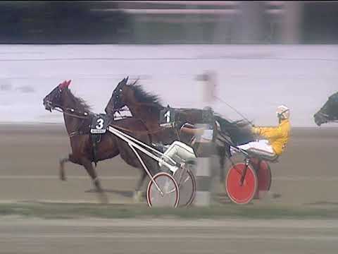 Trotto 24/02/2019 - 6ª corsa