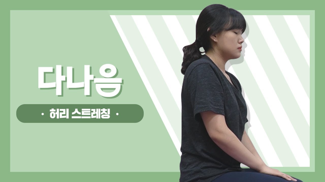 허리 통증 예방 스트레칭 BEST