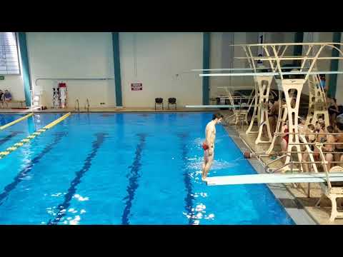 2017 UNCW Men's 1m - Dive 2 - 201A