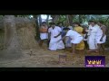 டே தள்ளி வாடா பாம்பு கடிச்சுற போகுது �