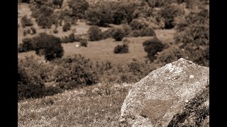 Poema Guerra a la vista