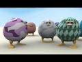 BABYTV EGG BIRDS Gallo
