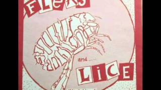 FLEAS AND LICE - 