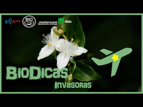 Biodicas #5: Invasoras
